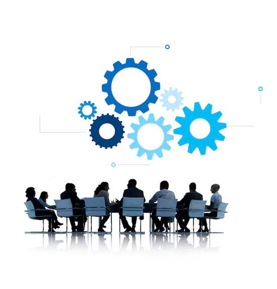 Our Internal Committees